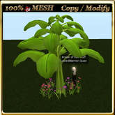 LW_ Mesh Banana Tree and Daisies 2