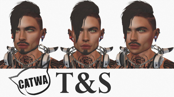 ~T&S~ Catwa~Beard set