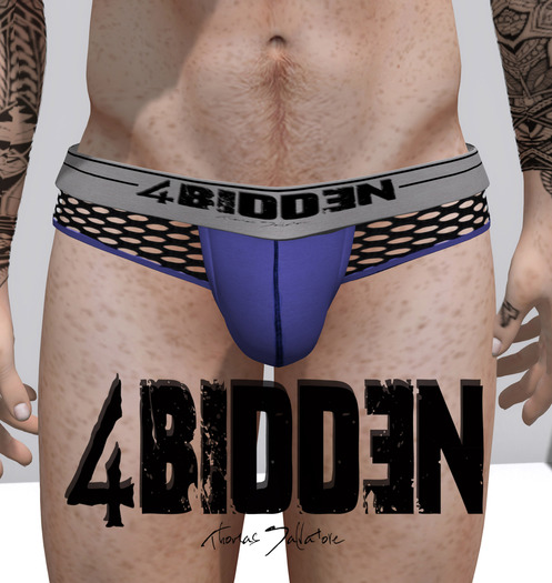 .::4BIDDEN::. Purple & Black Cut out Mesh Briefs