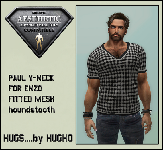 HUGS AESTHETICS  V-Neck T-Shirt -  PAUL  (Fitted Mesh)