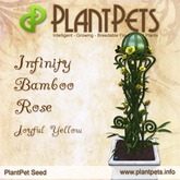 PlantPet Seed [Infinity Bamboo Rose *Joyful Yellow*]