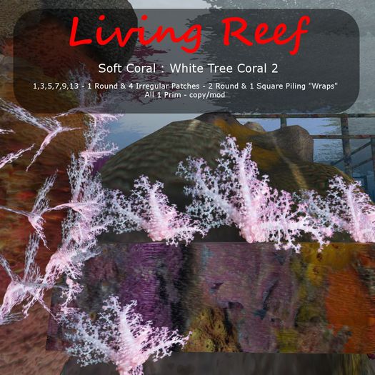 Inochi Reef : Soft Coral - 