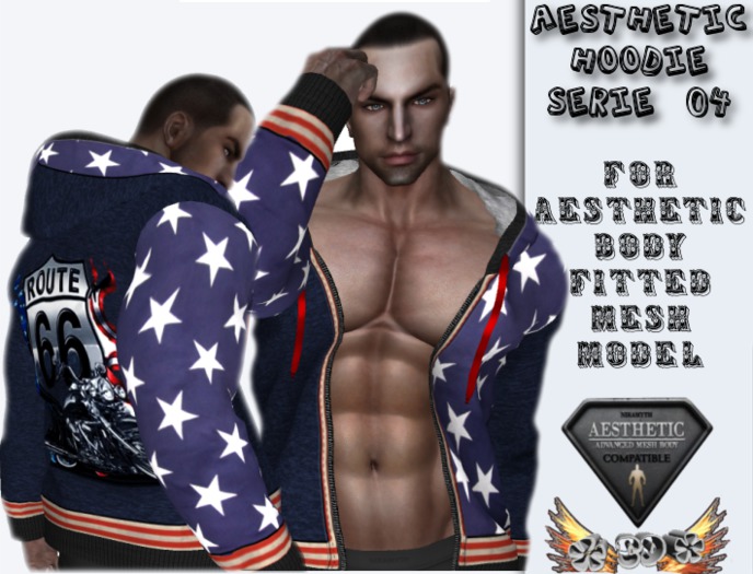 AESTHTIC Hoodie Serie 04