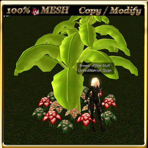 LW_ Mesh Banana Tree and Caladiums 1