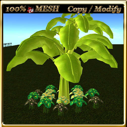 LW_ Mesh Banana Tree and Caladiums 2