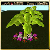 LW_ Mesh Banana Tree and Caladiums 3