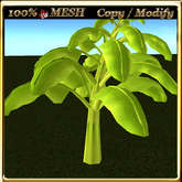 LW_ Mesh Banana Tree