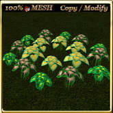 LW_  Mesh Round Caladiums 3