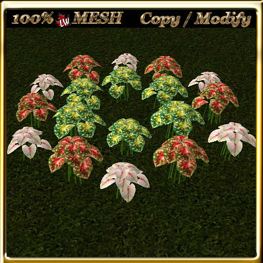 LW_  Mesh Round Caladiums 4