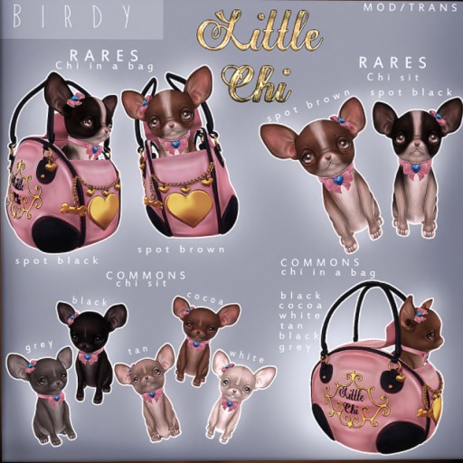 Birdy - Little Chi - Sit - Spot Brown RARE