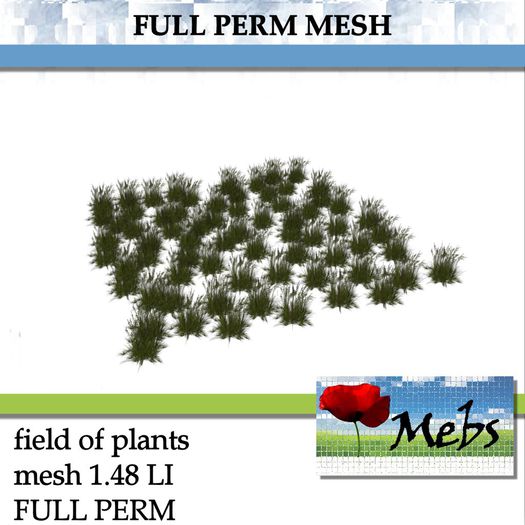 Field of plants ( 1 face )  1.48 LI
