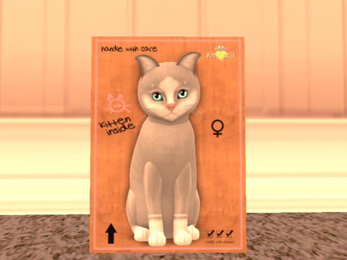 KittyCatS Box - 3+1 T 400L