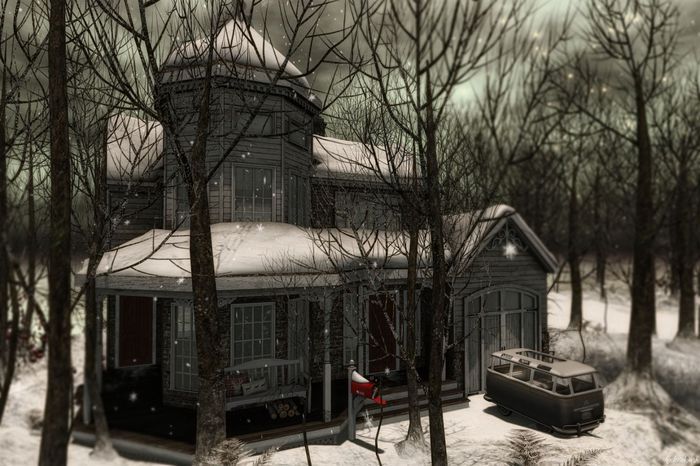 hive // holly's home RARE