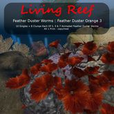 Inochi Reef : Feather Duster Orange 3