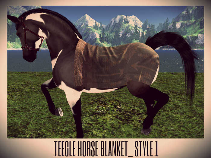 Teegle  Blanket  1   