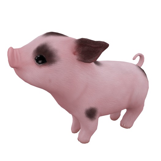 Mini Piggy - Cloudwatching (Spotted)