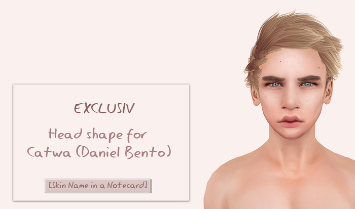 Shape for (Catwa Daniel Bento Head) + Notecard