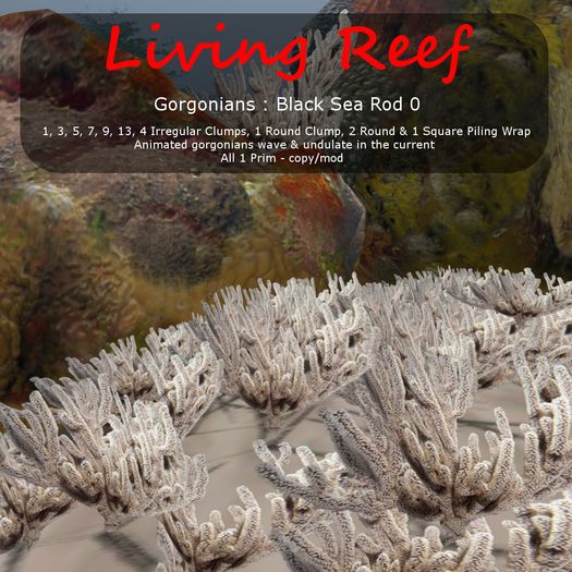 Black Sea Rod 0 - Boxed