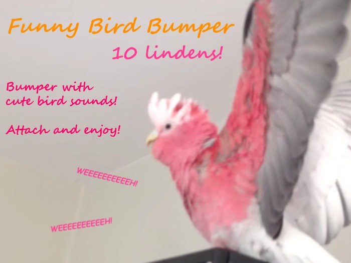 [G121] Worlds most excited bird bumper!