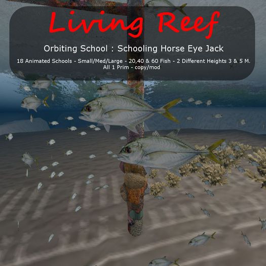 Inochi reef : Orbiting Schools - 