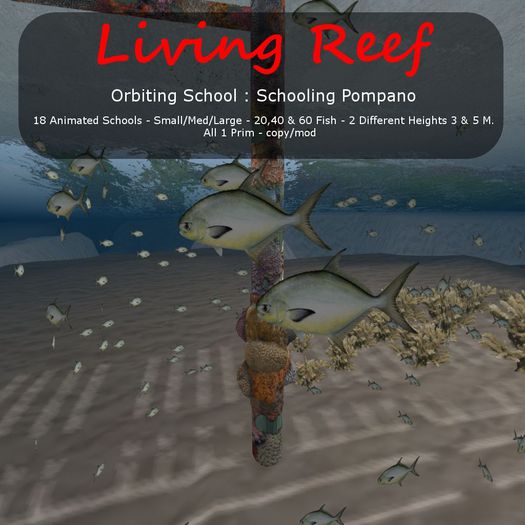 Inochi reef : Orbiting Schools - 