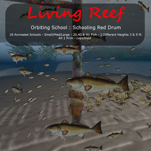 Inochi reef : Orbiting Schools - 