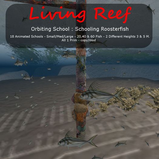 Inochi Reef : Orbiting Schools - Roosterfish