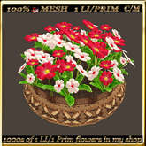 LW_ Mesh Pot of Primroses 3