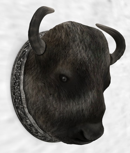 Apple Fall Buffalo Taxidermy