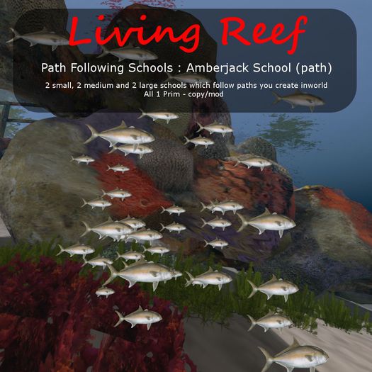 Inochi Reef : Path Following Schools - Amberjack