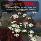 Inochi Reef : Path Following Schools - 