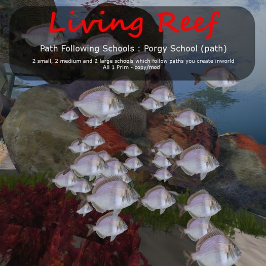 Inochi Reef : Path Following Schools - 