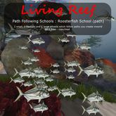 Inochi Reef : Path Following Schools - 
