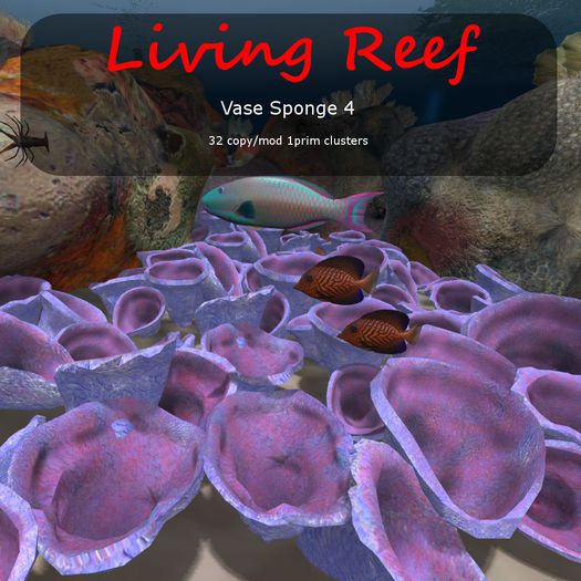 Inochi Reef : Vase Sponge 4