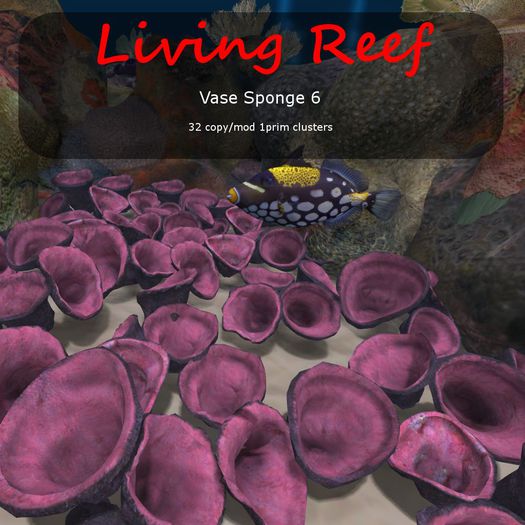 Inochi Reef :