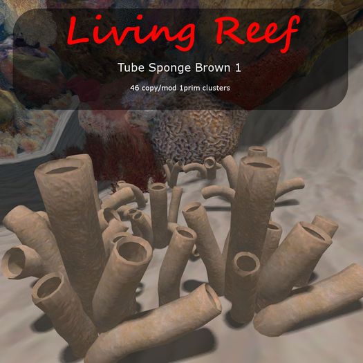 Inochi Reef : 