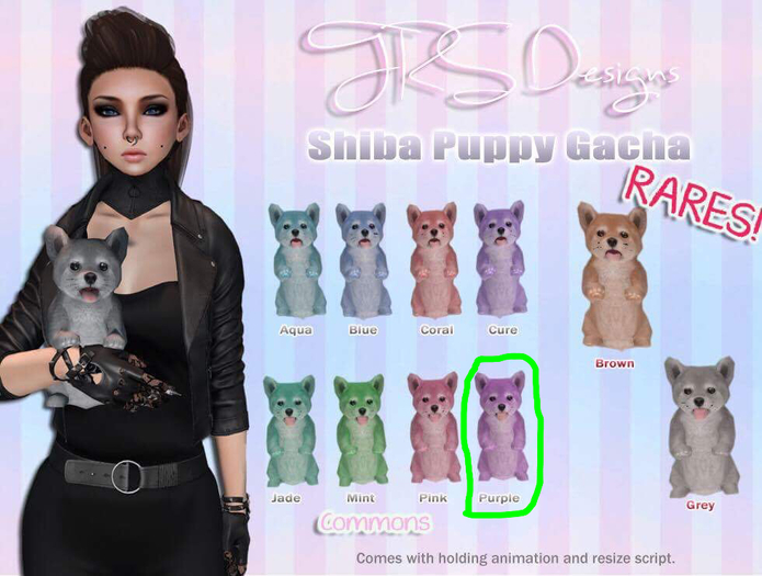 Shiba Puppy Common Purple 