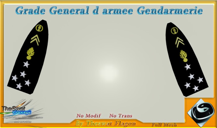 General d armee Boxe