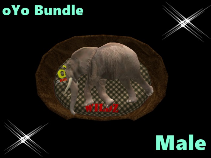 oYo Bundle - Male Dirty Grey