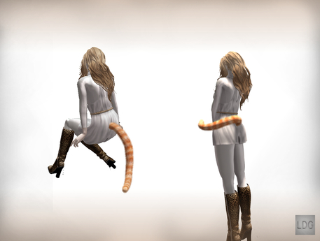 Second Life Marketplace - LDG-077 Animations(for AO) & Static pose for ...