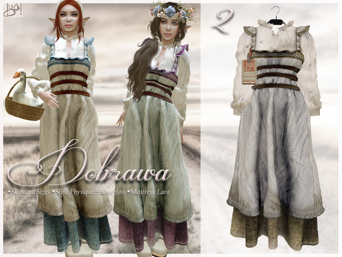 !gO! Dobrawa dress - 2