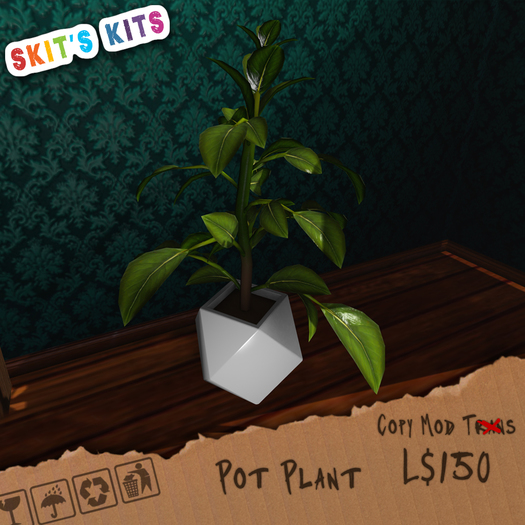 Skit's Kit Box - Potted Plant