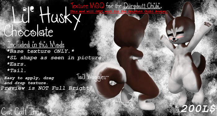 Cat Cult Inc. Lil' Husky Chocolate (Boxed)