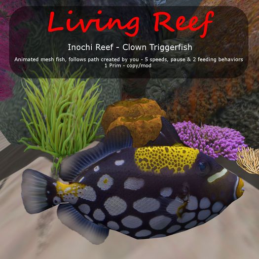 Inochi Reef : Mesh Fish - Clown Triggerfish