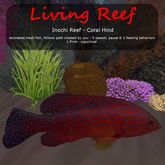 Inochi Reef : Mesh Fish - Coral Hind