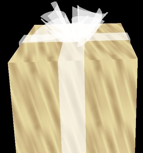 Wedding Gift Box with a Bow