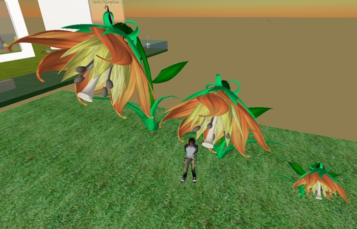 Day Lilly Flower - Resizeable