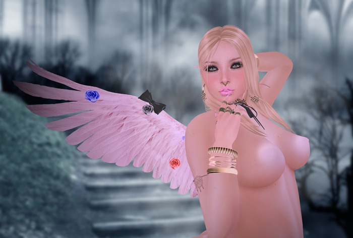 J.C Wing angel Hud Color