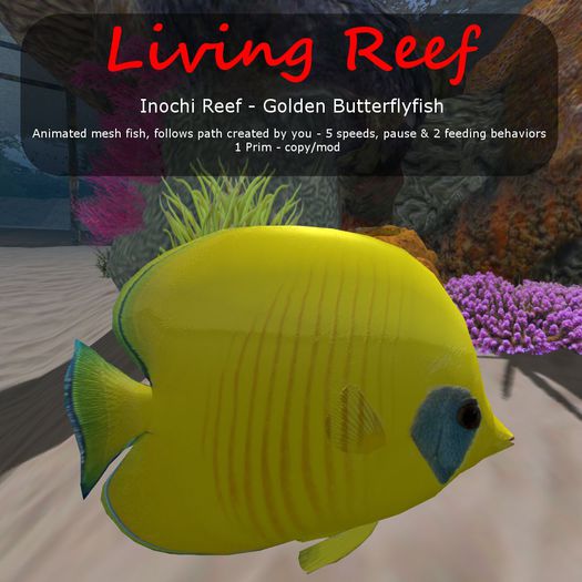 Inochi Reef : Mesh Fish - 