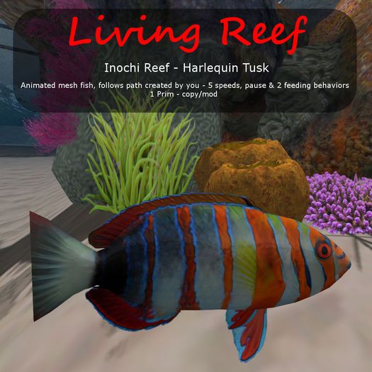 Inochi Reef : Mesh Fish - Harlequin Tusk Fish